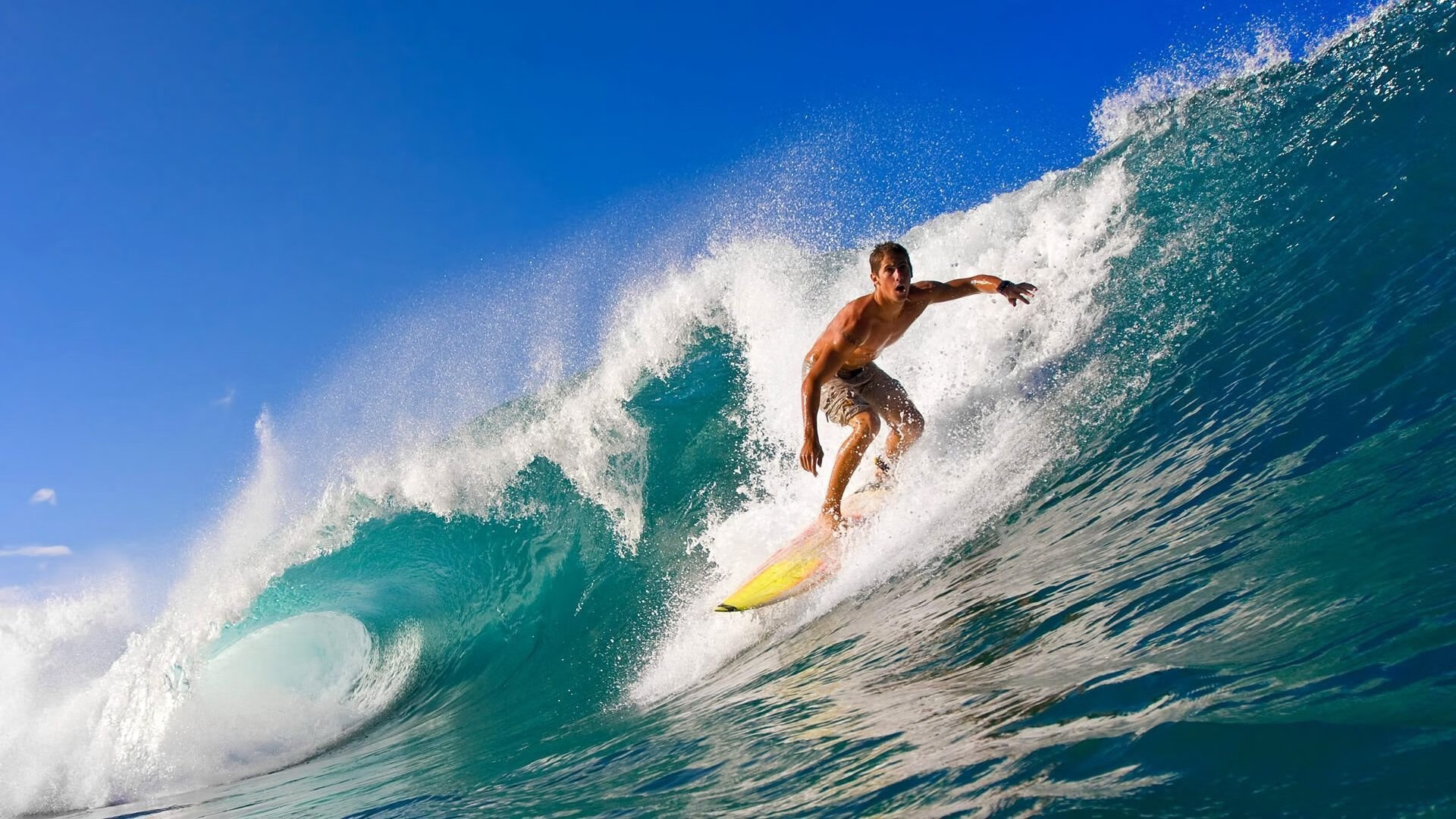 激烈比拼将体育精神展现得淋漓尽致,激烈比拼将体育精神展现得淋漓尽致