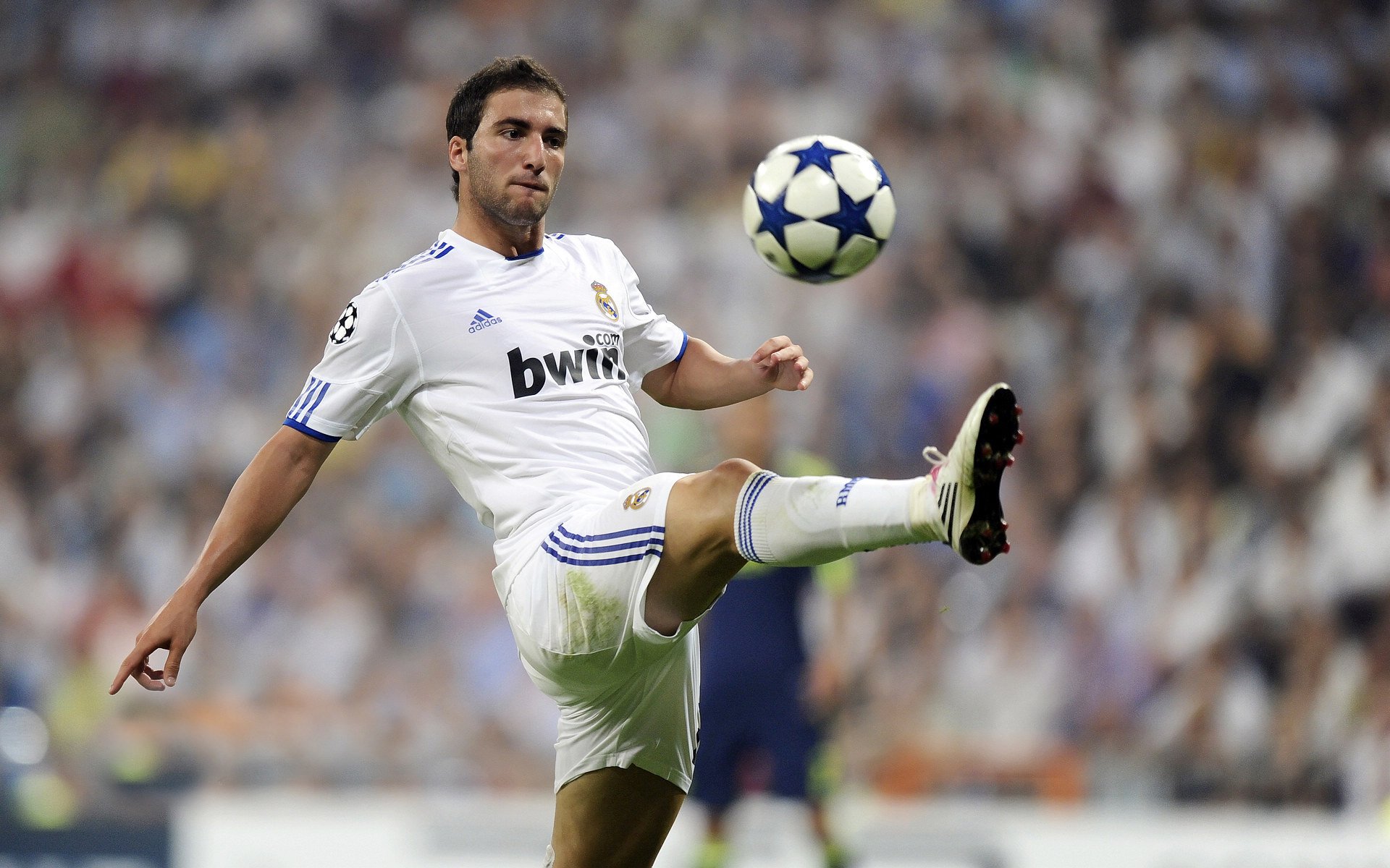 Kaiyun官方登录入口-阿尔阿赫利比赛节奏把控出色，阿尔阿赫利vs帕尔梅拉斯