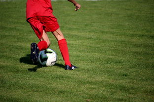 kaiyun中国官方网站-内线球员在快节奏体系下的功能性演变，内线球员的主要作用